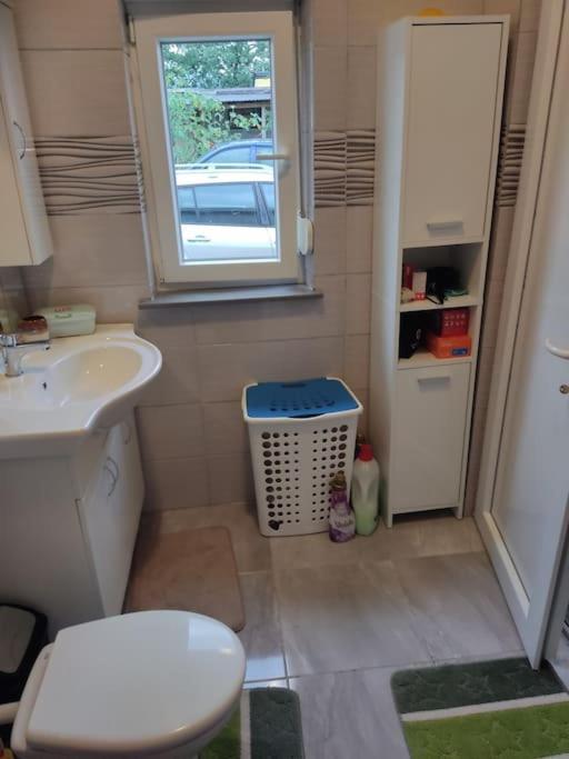 Apartman David-Drazice Екстериор снимка